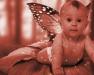 Baby portraits